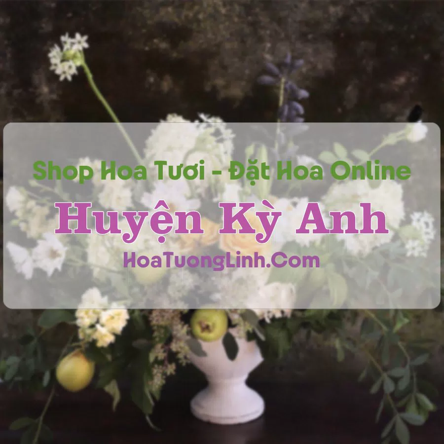 Shop Hoa Tươi Kỳ Anh – Hà Tĩnh