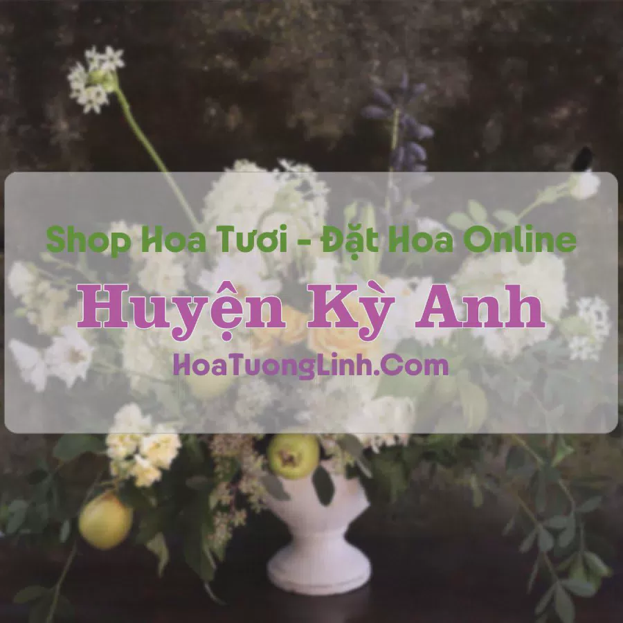 Shop Hoa Tươi Kỳ Anh - Hà Tĩnh
