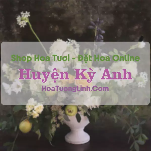 Shop Hoa Tươi Kỳ Anh - Hà Tĩnh