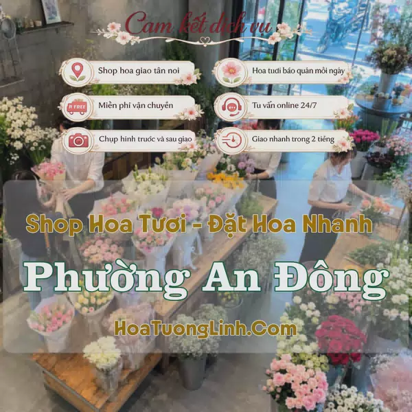 Shop Hoa Tươi Phường An Đông - Hồ Chí Minh