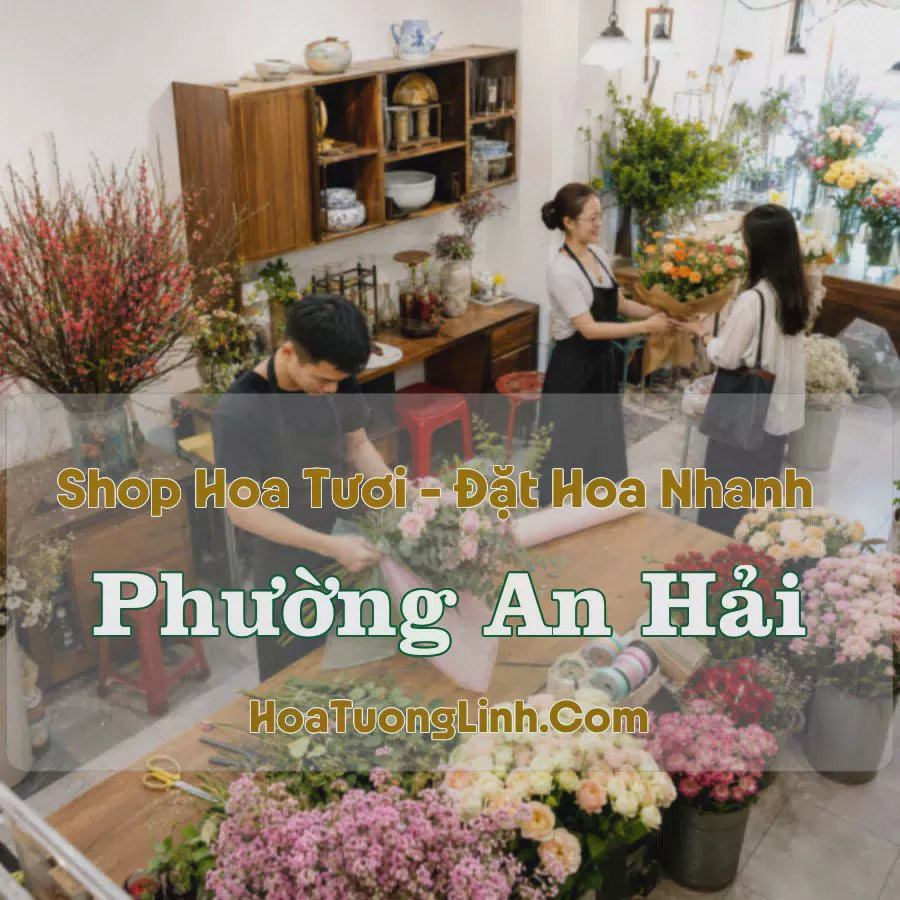 Tiệm Hoa Tươi Phường An Hải, Hải Phòng - Nhiều Mẫu Đẹp