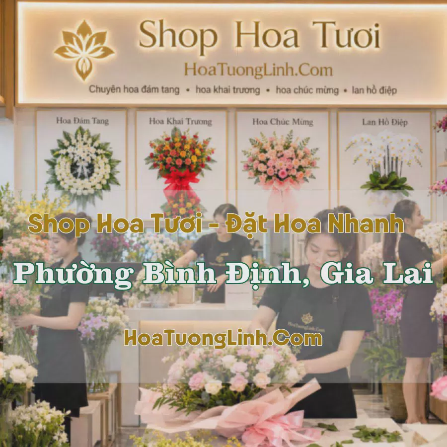 Giao Hoa Tươi Phường Bình Định, Gia Lai - Liên Hệ Chọn Mẫu
