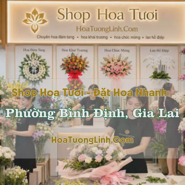 Giao Hoa Tươi Phường Bình Định, Gia Lai - Liên Hệ Chọn Mẫu