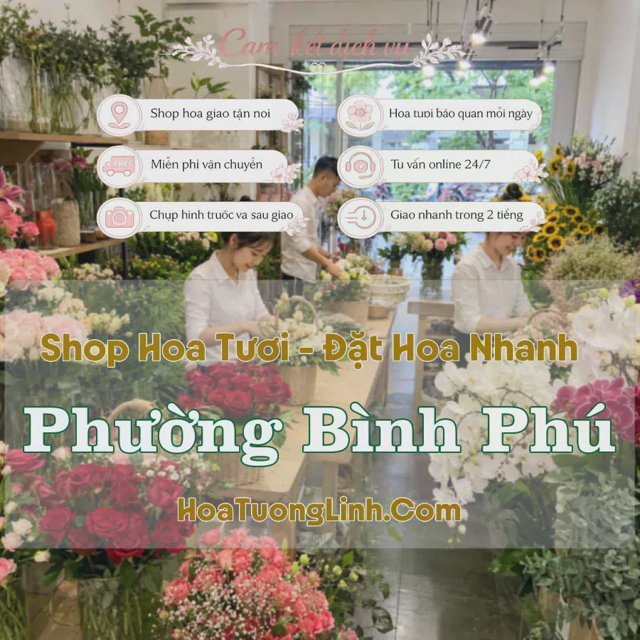 Shop Hoa Tươi Phường Bình Phú - Hồ Chí Minh