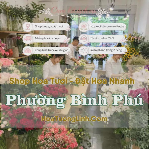 Shop Hoa Tươi Phường Bình Phú - Hồ Chí Minh