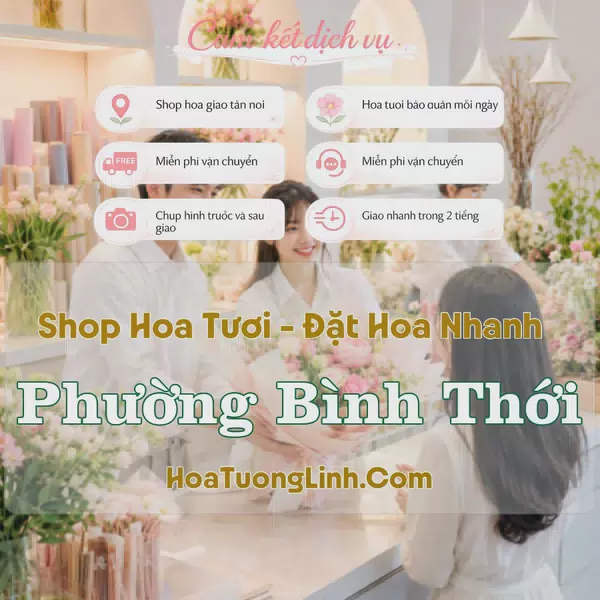 Shop Hoa Tươi Phường Bình Thới - Hồ Chí Minh