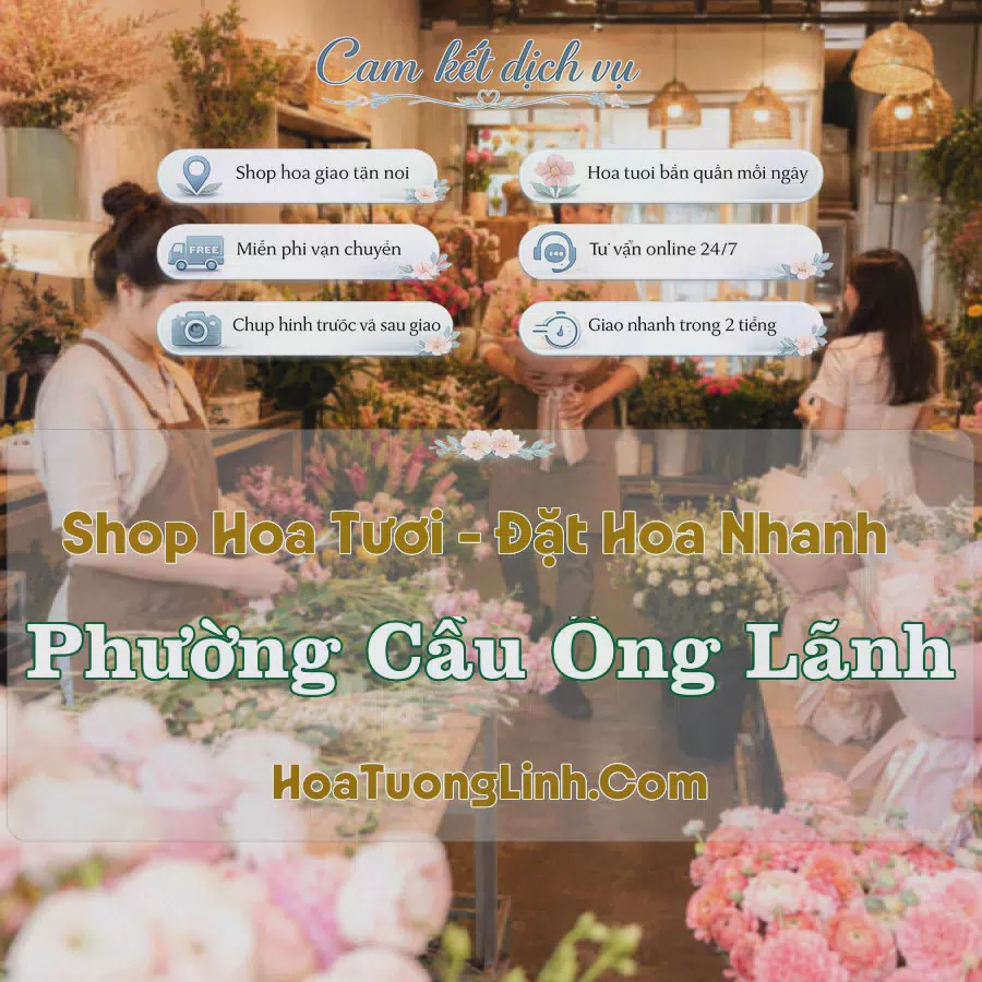 Shop Hoa Tươi Phường Cầu Ông Lãnh - Hồ Chí Minh