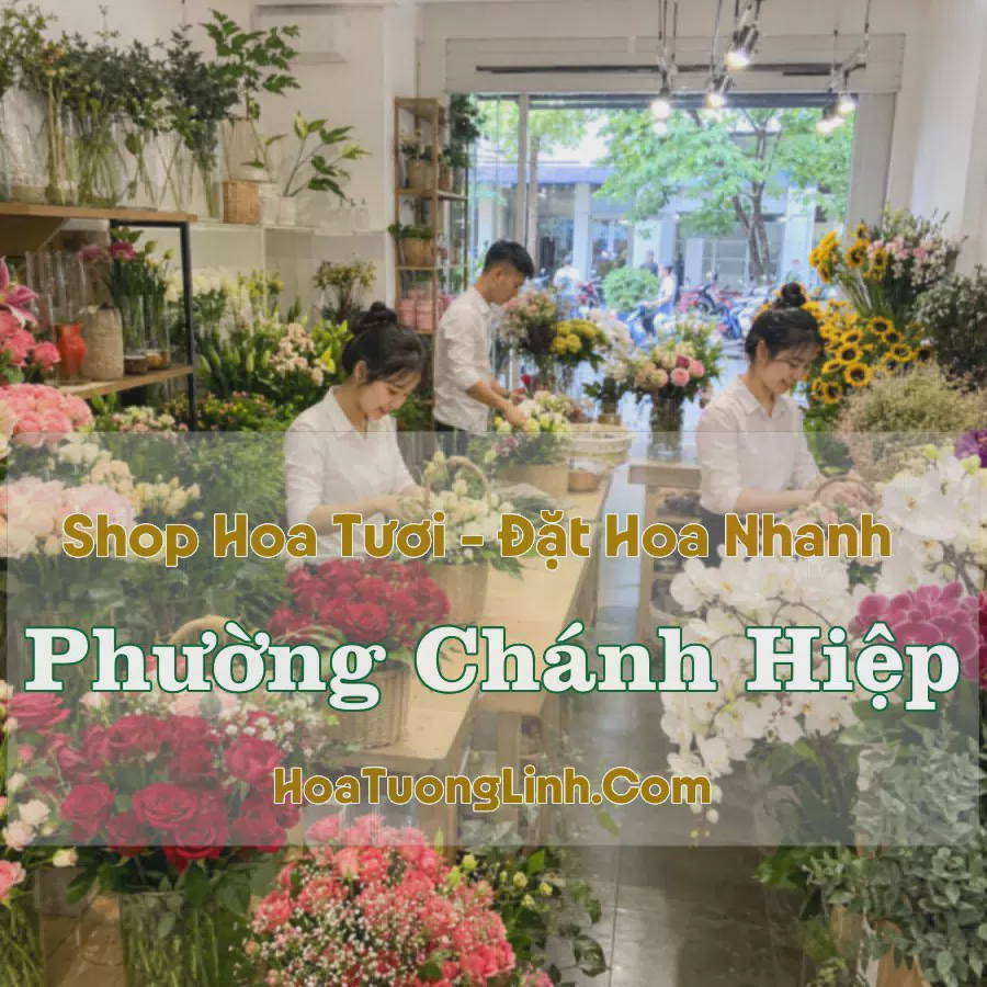 Tiệm Hoa Tươi Phường Chánh Hiệp, TP.HCM - Đặt Hoa Online