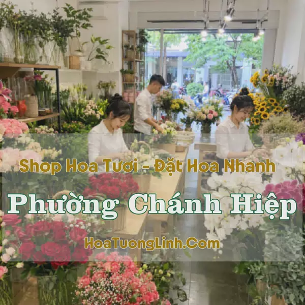 Tiệm Hoa Tươi Phường Chánh Hiệp, TP.HCM - Đặt Hoa Online