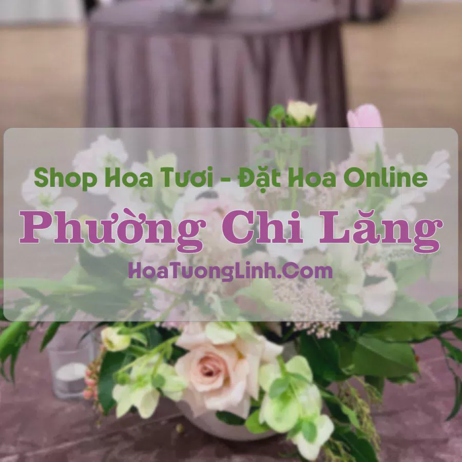 Shop Hoa Tươi Phường Chi Lăng - An Giang