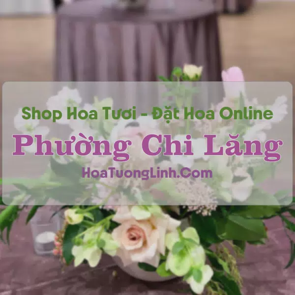 Shop Hoa Tươi Phường Chi Lăng - An Giang