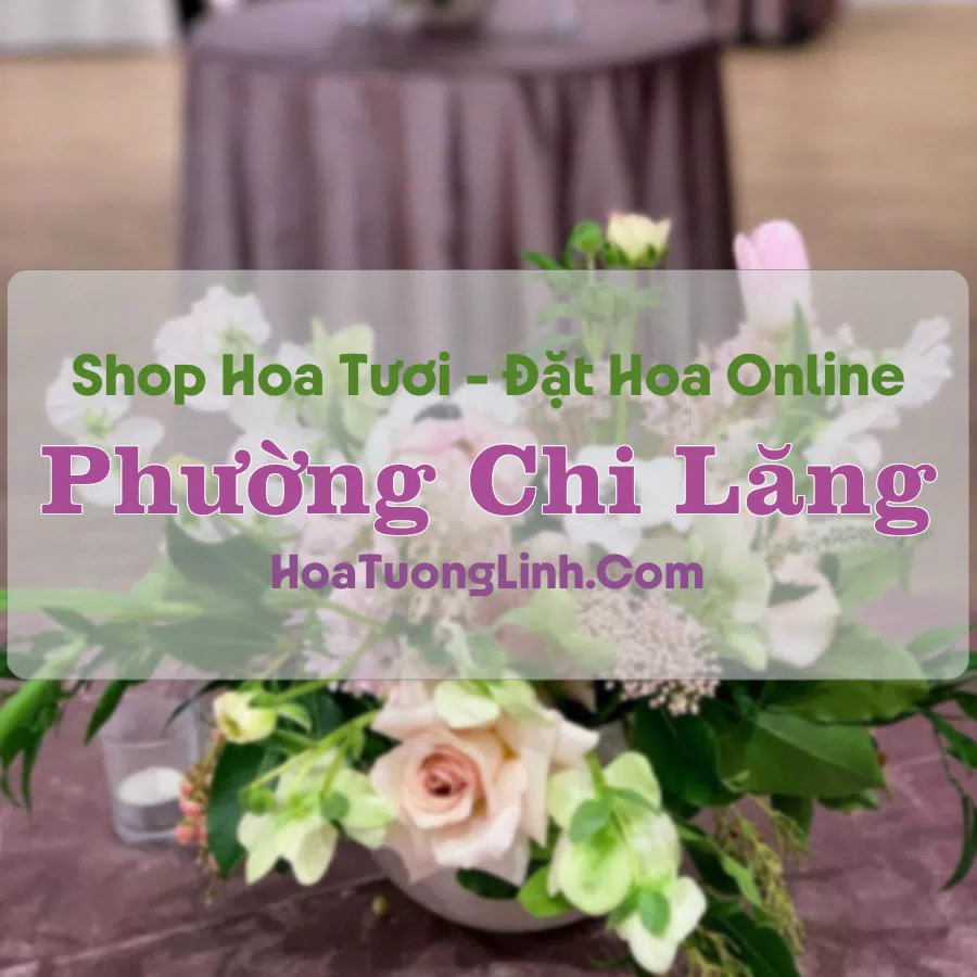 Shop Hoa Tươi Phường Chi Lăng – An Giang