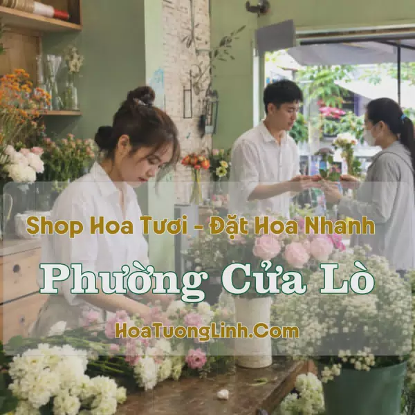 Đặt Hoa Online Phường Cửa Lò, Nghệ An - Tư Vấn Theo Yêu Cầu