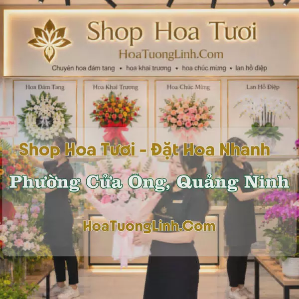 Shop Hoa Tươi Phường Cửa Ông, Quảng Ninh - Giao Tận Nơi