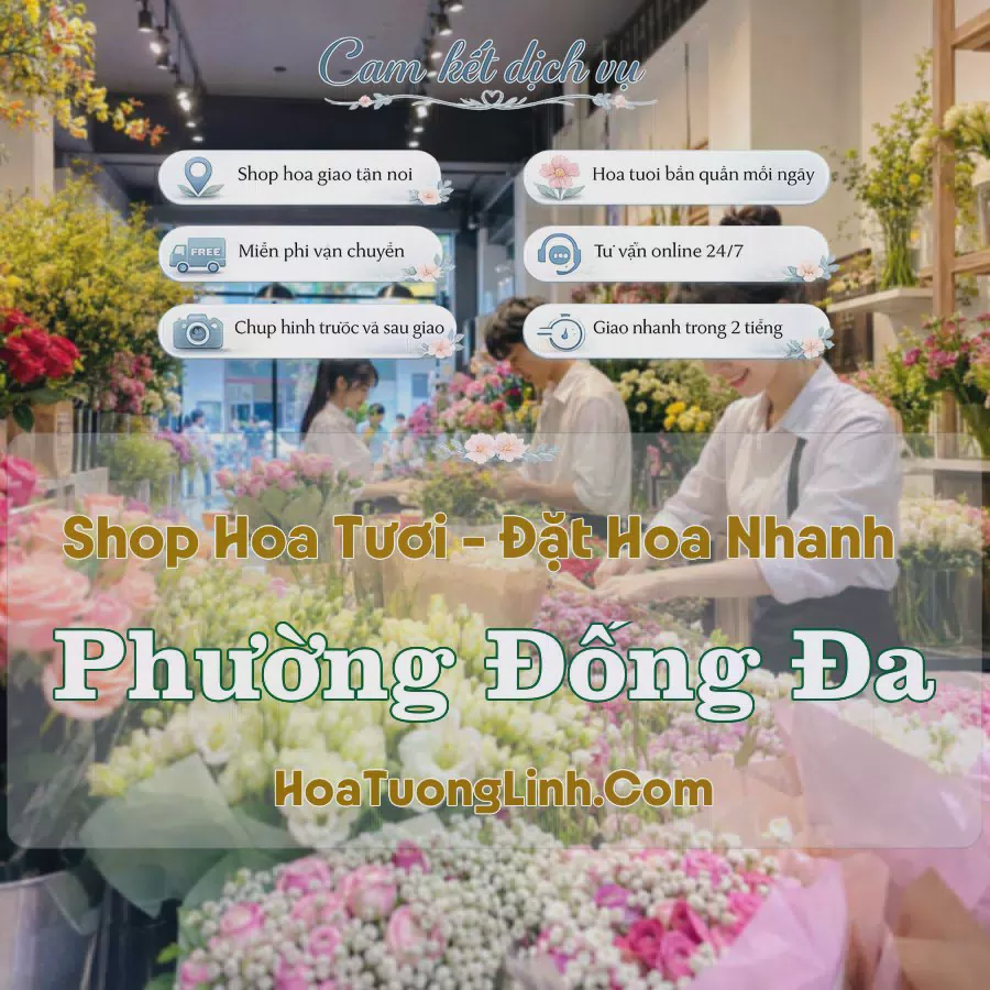 Shop Hoa Tươi Phường Đống Đa - Hà Nội