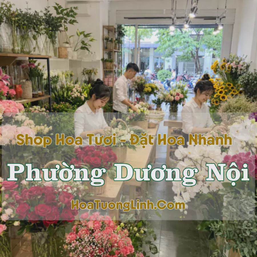 Tiệm Hoa Phường Dương Nội, Hà Nội - Giao Nhanh