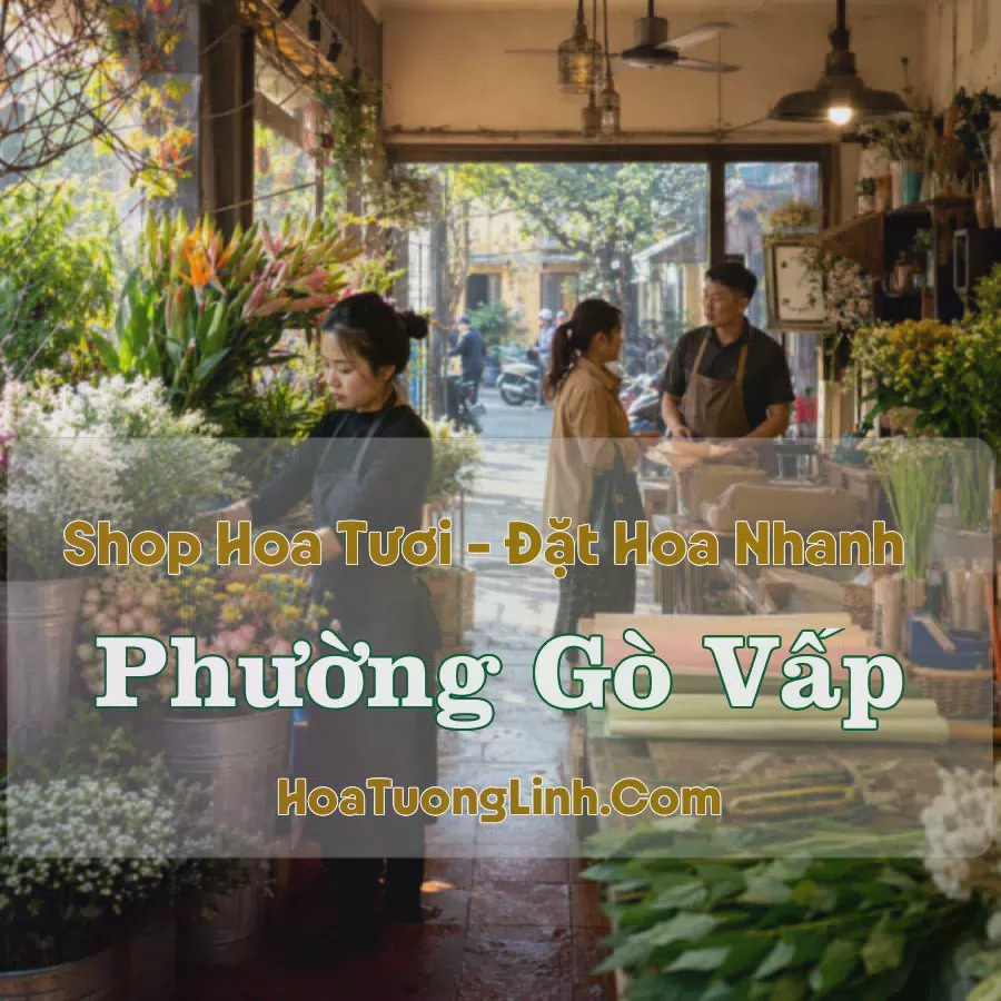 Shop Hoa Tươi Phường Gò Vấp - TP.HCM