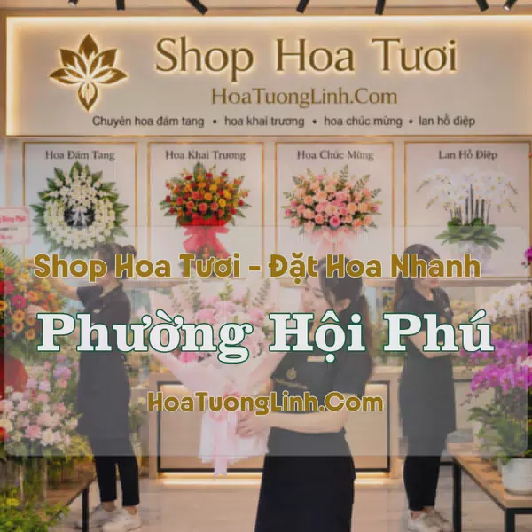 Shop Hoa Phường Hội Phú, Gia Lai - Nhiều Kiểu Dáng