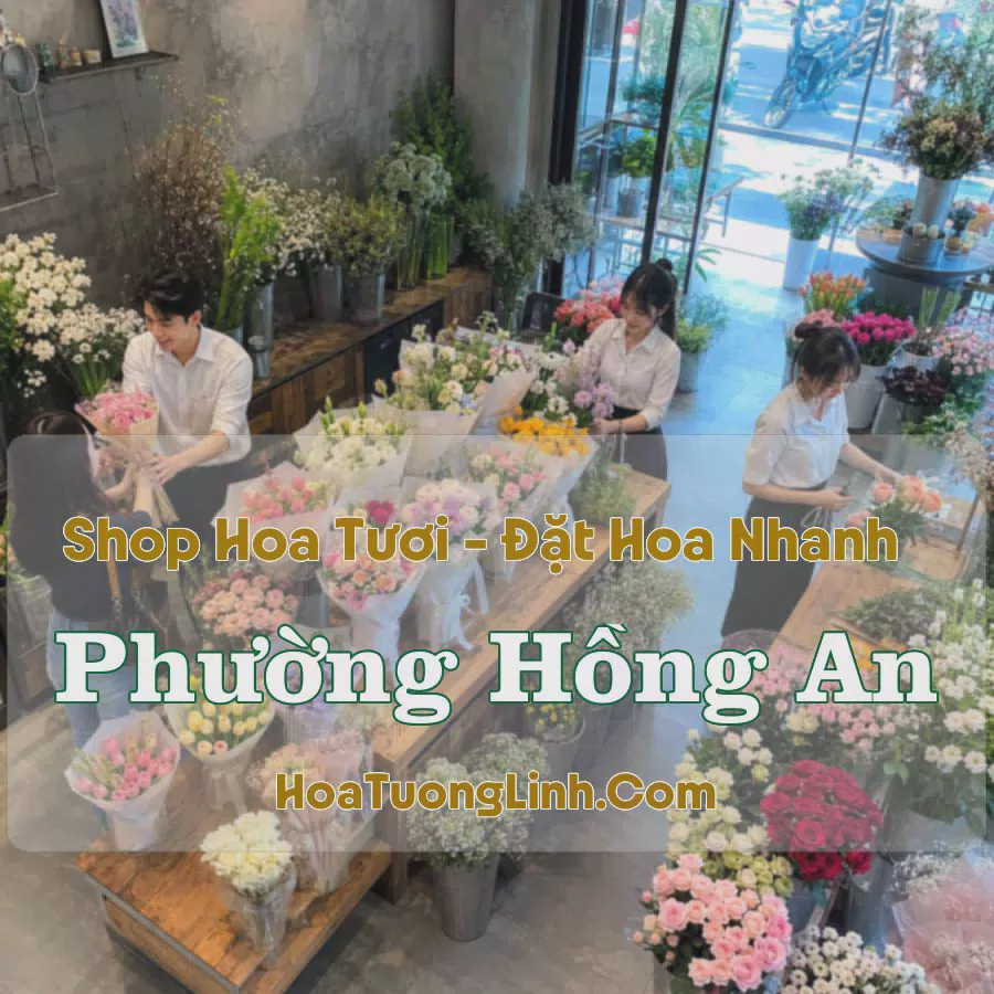 Giao Hoa Tươi Phường Hồng An, Hải Phòng - Liên Hệ Chọn Mẫu