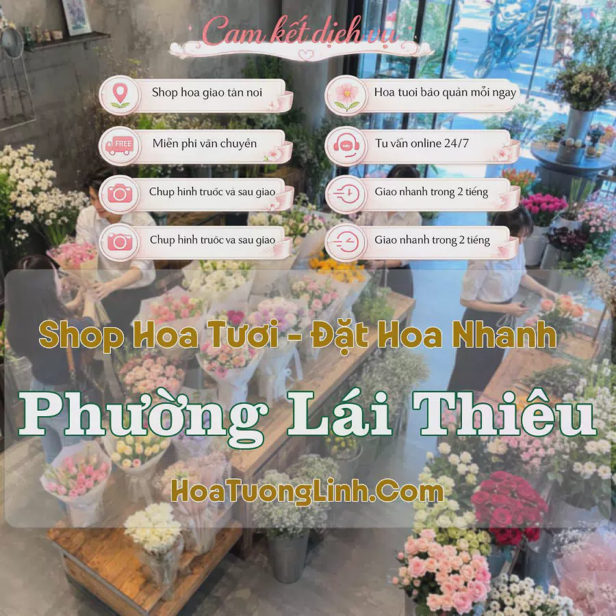Shop Hoa Tươi Phường Lái Thiêu - Bình Dương