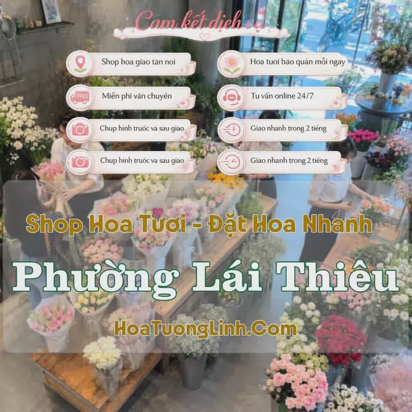 Shop Hoa Tươi Phường Lái Thiêu - Bình Dương