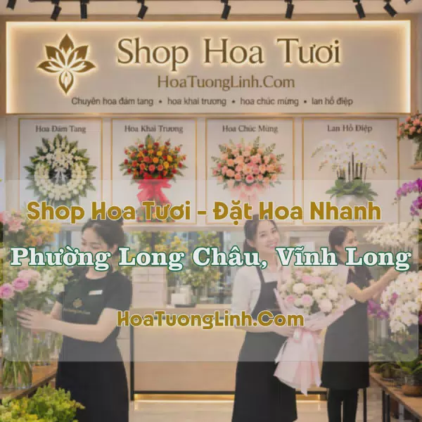 Đặt Hoa Phường Long Châu, Vĩnh Long - Tư Vấn Mẫu Phù Hợp