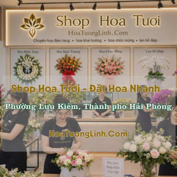 Shop Hoa Tươi Phường Lưu Kiếm, Hải Phòng - Giao Tận Nơi