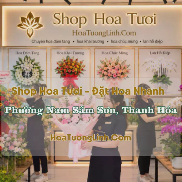 Tiệm Hoa Phường Nam Sầm Sơn, Thanh Hóa - Chọn Theo Dịp