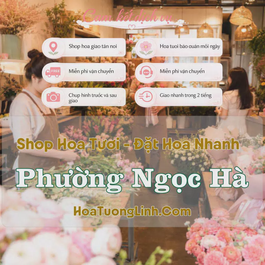 Shop Hoa Tươi Phường Ngọc Hà - Hà Nội