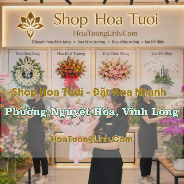 Shop Hoa Phường Nguyệt Hóa, Vĩnh Long - Nhiều Kiểu Dáng