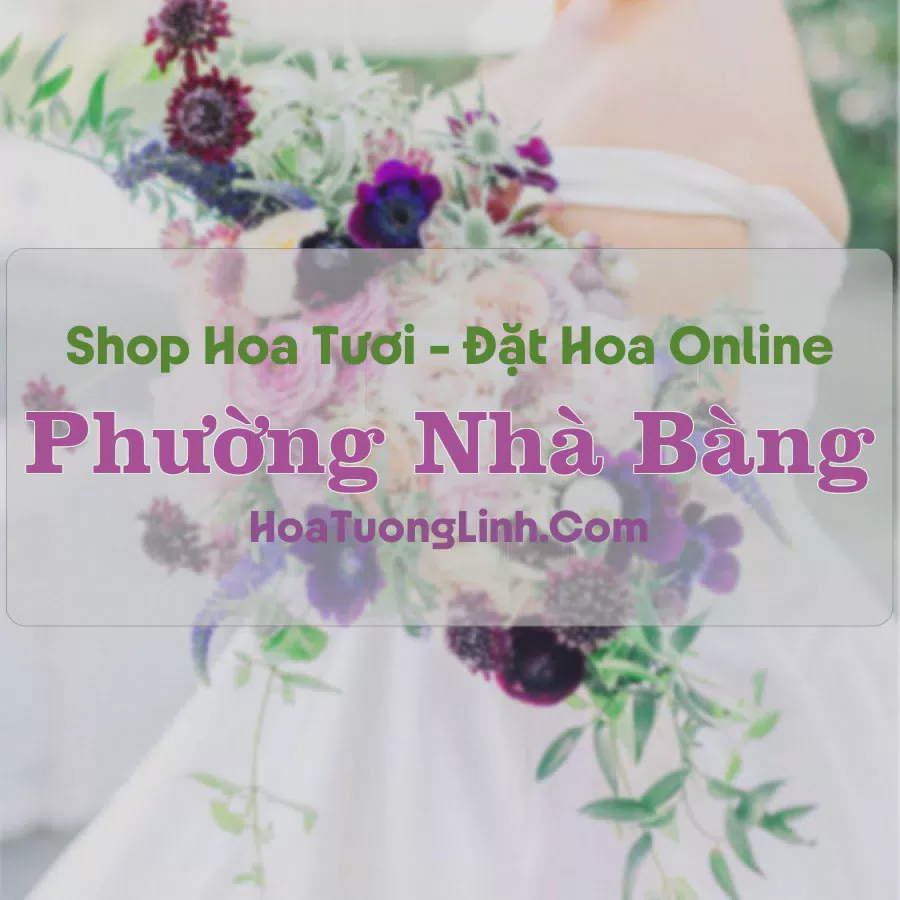 Shop Hoa Tươi Phường Nhà Bàng - An Giang