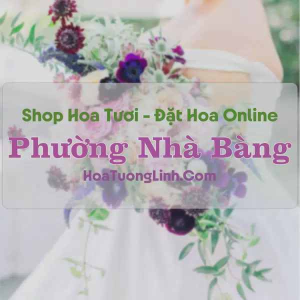 Shop Hoa Tươi Phường Nhà Bàng - An Giang