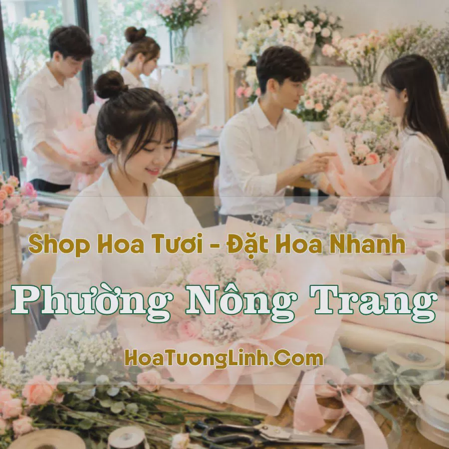 Cửa Hàng Hoa Tươi Phường Nông Trang, Phú Thọ - Nhiều Mẫu Đẹp