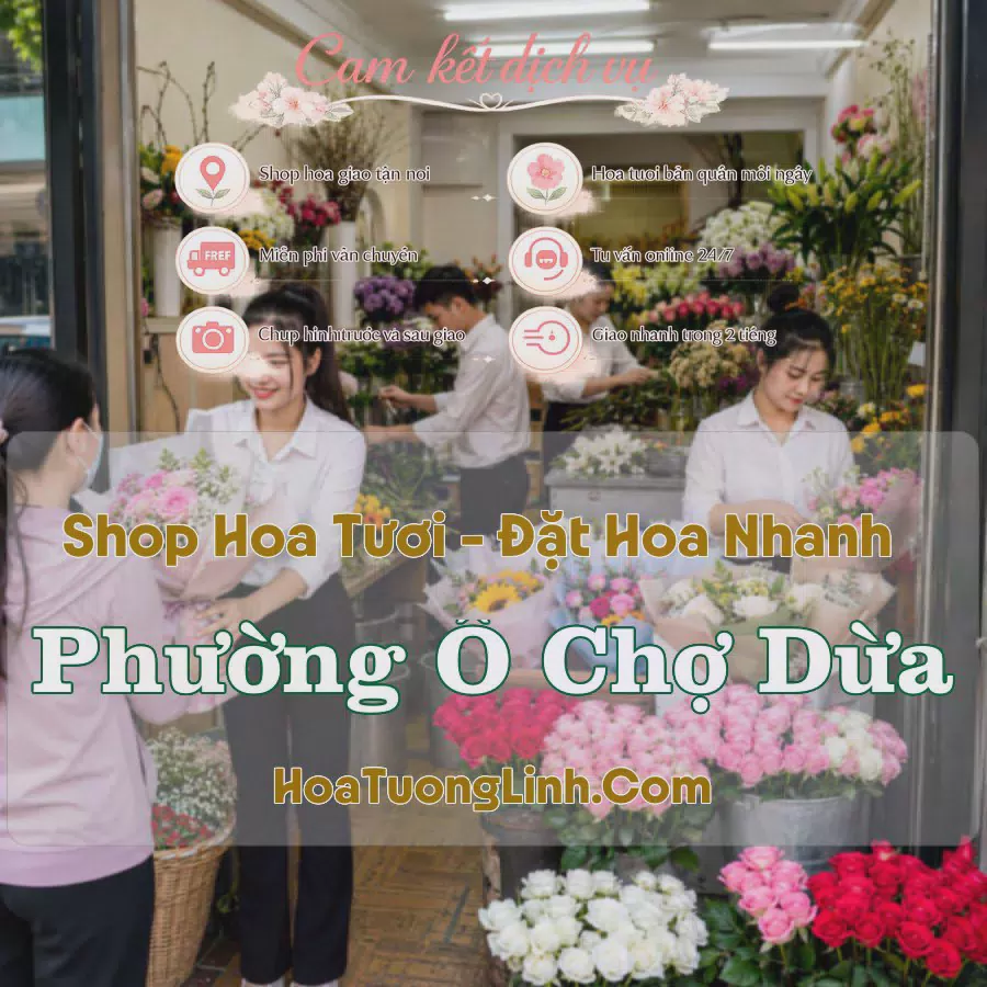 Shop Hoa Tươi Phường Ô Chợ Dừa - Hà Nội