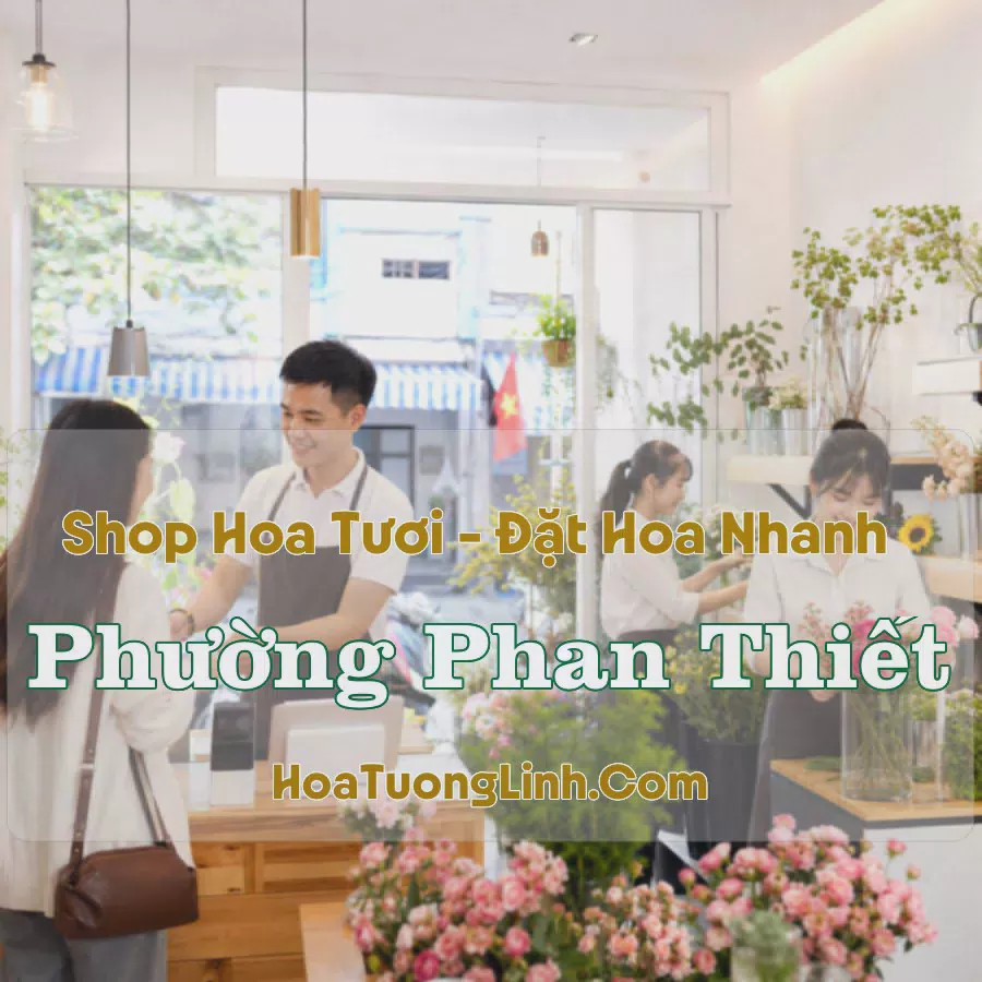 Đặt Hoa Online Phường Phan Thiết, Lâm Đồng - Tư Vấn Theo Yêu Cầu