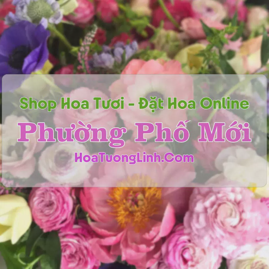 Shop Hoa Tươi Phường Phố Mới - Bắc Ninh