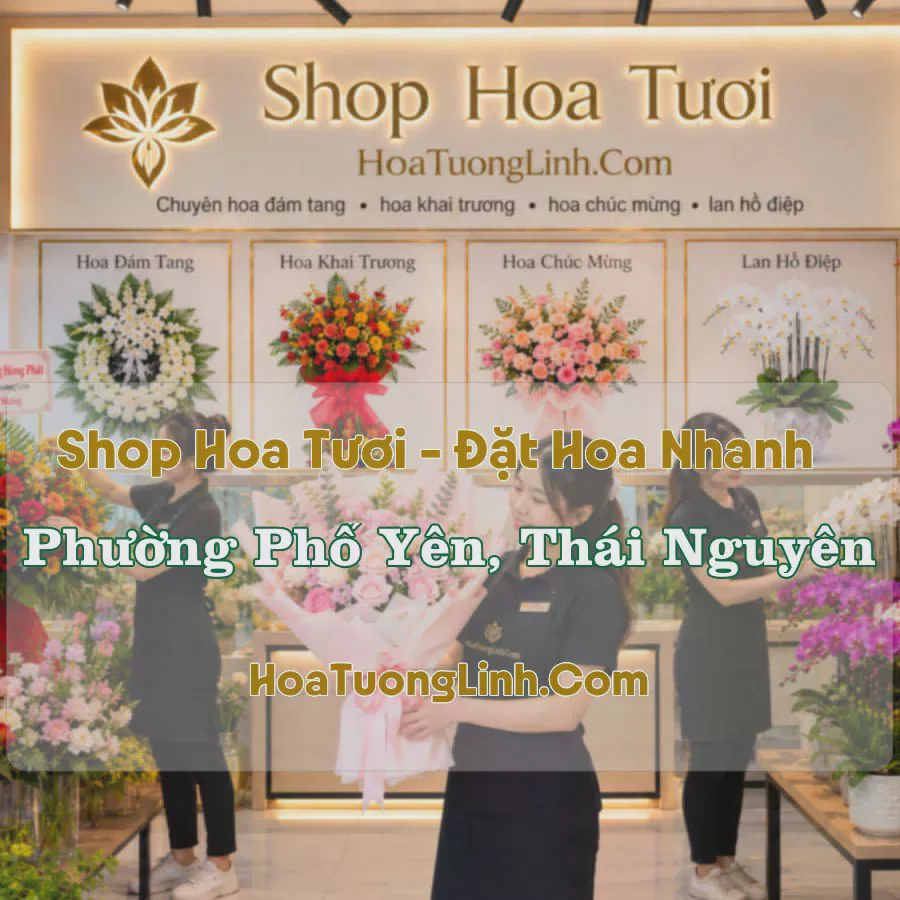 Tiệm Hoa Tươi Phường Phổ Yên, Thái Nguyên - Đặt Hoa Online