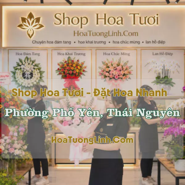 Tiệm Hoa Tươi Phường Phổ Yên, Thái Nguyên - Đặt Hoa Online