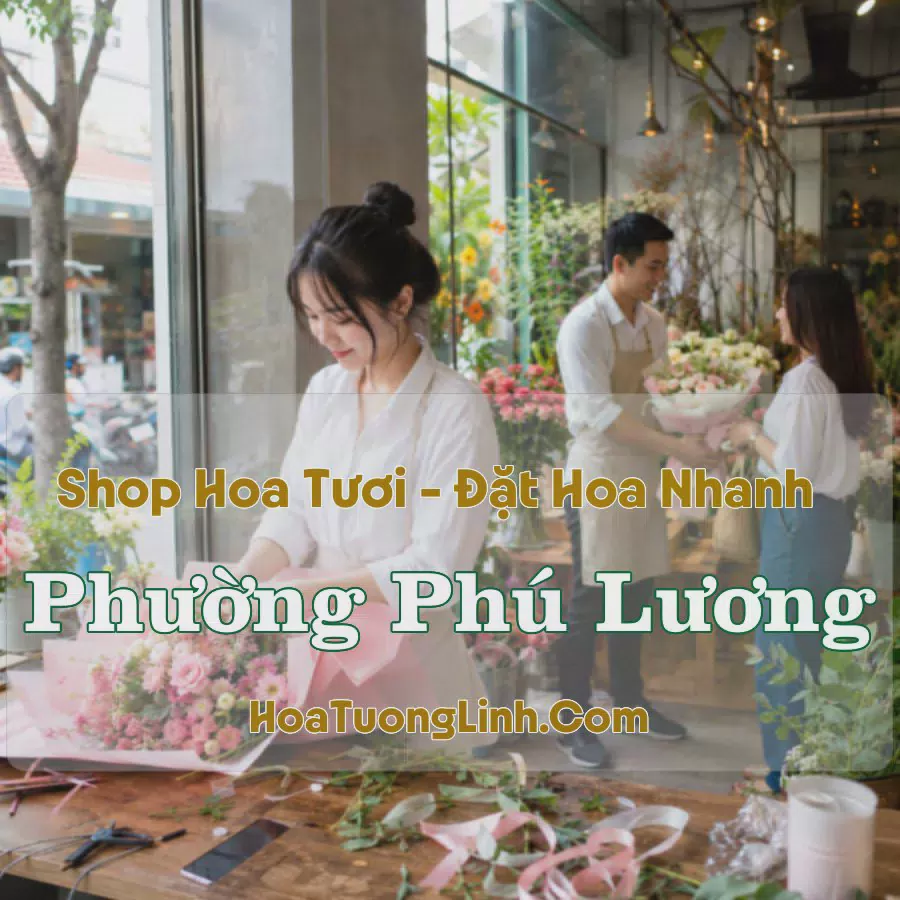 Đặt Hoa Phường Phú Lương, Hà Nội - Tư Vấn Mẫu Phù Hợp