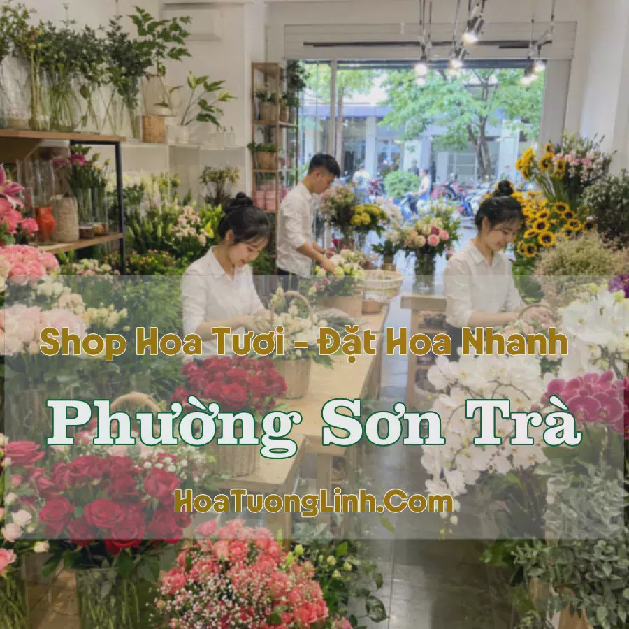 Đặt Hoa Online Phường Sơn Trà, Đà Nẵng - Tư Vấn Theo Yêu Cầu