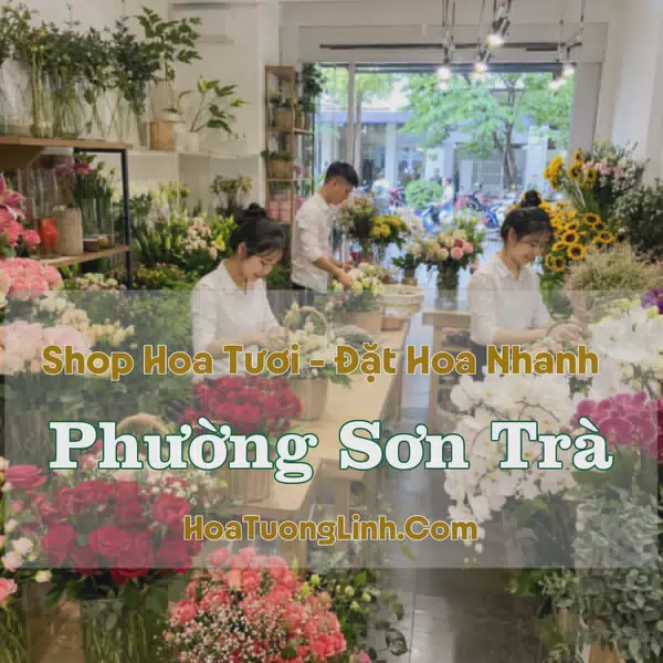 Đặt Hoa Online Phường Sơn Trà, Đà Nẵng - Tư Vấn Theo Yêu Cầu