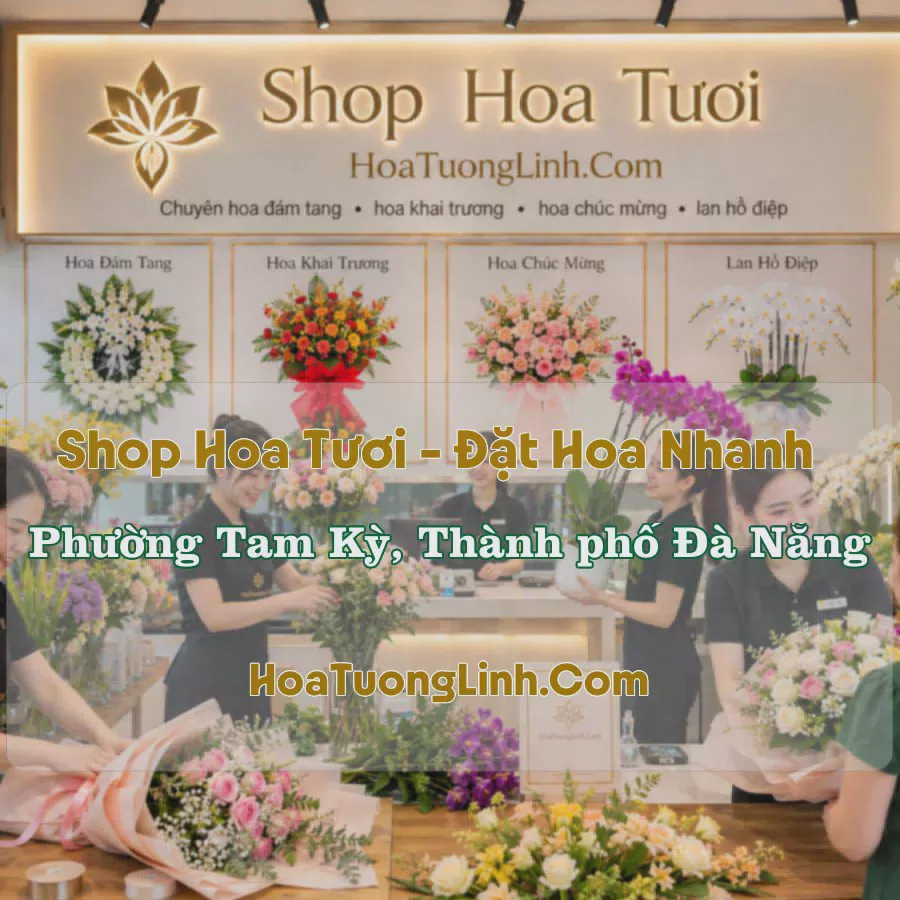 Cửa Hàng Hoa Tươi Phường Tam Kỳ, Đà Nẵng - Nhiều Mẫu Đẹp