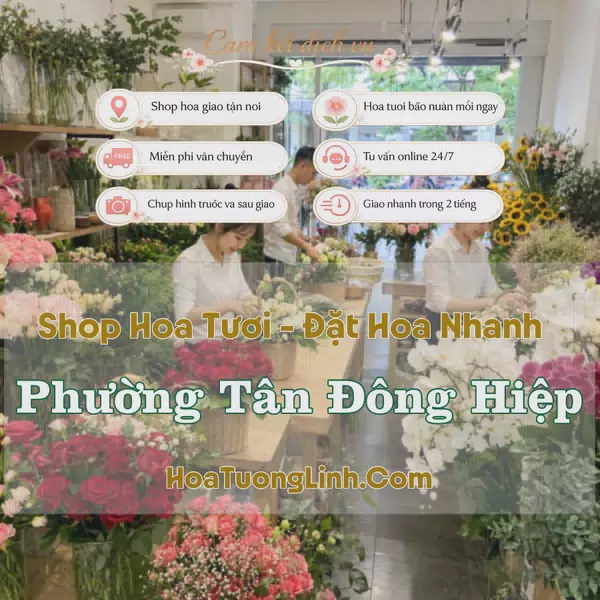 Shop Hoa Tươi Phường Tân Đông Hiệp - Bình Dương