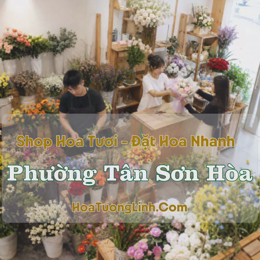Shop Hoa Tươi Phường Tân Sơn Hòa, TP.HCM - Giao Tận Nơi
