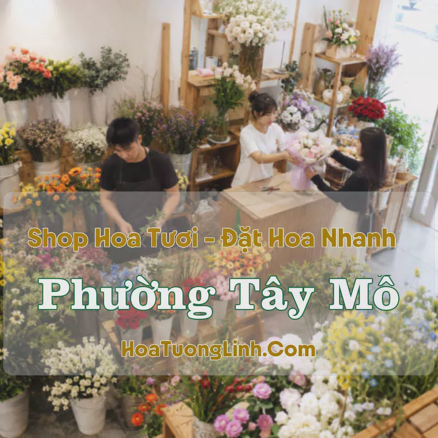 Đặt Hoa Phường Tây Mỗ, Hà Nội - Tư Vấn Mẫu Phù Hợp