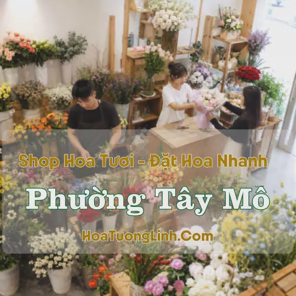 Đặt Hoa Phường Tây Mỗ, Hà Nội - Tư Vấn Mẫu Phù Hợp