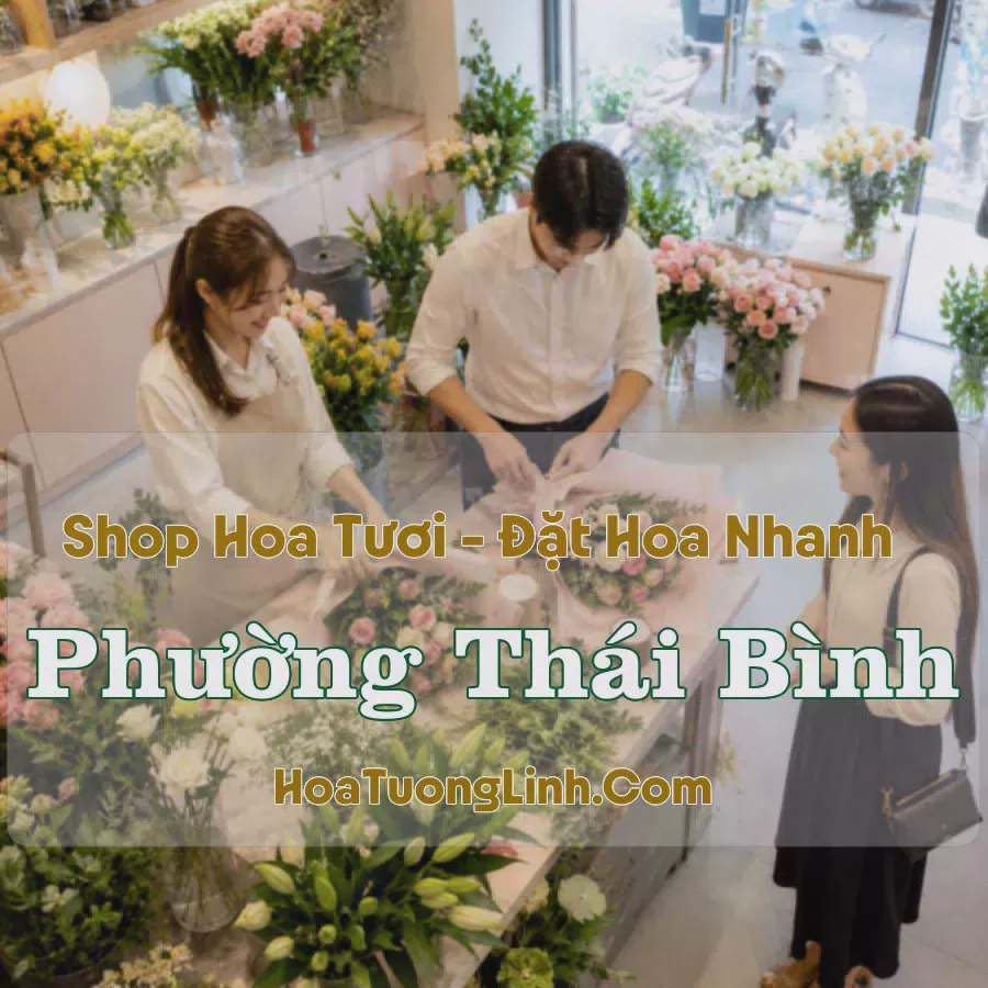 Shop Hoa Tươi Phường Thái Bình, Hưng Yên - Giao Tận Nơi