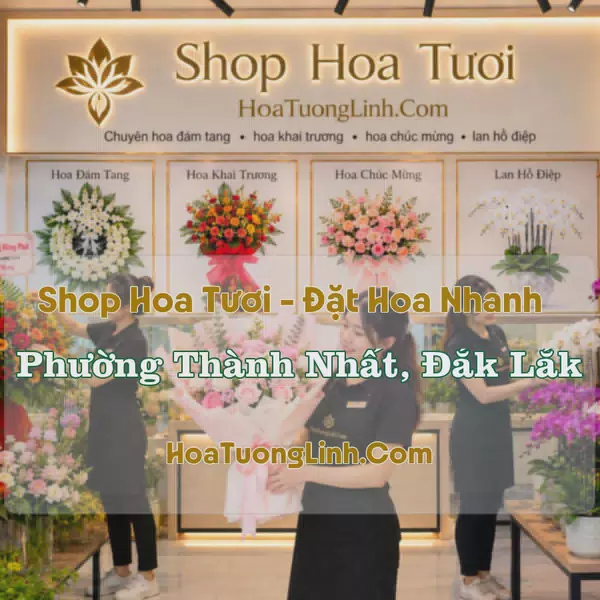 Shop Hoa Phường Thành Nhất, Đắk Lắk - Nhiều Kiểu Dáng