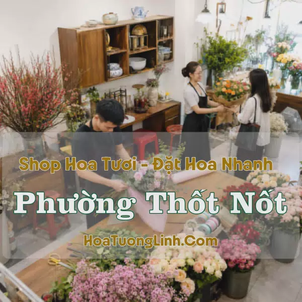 Đặt Hoa Phường Thốt Nốt, Cần Thơ - Tư Vấn Mẫu Phù Hợp