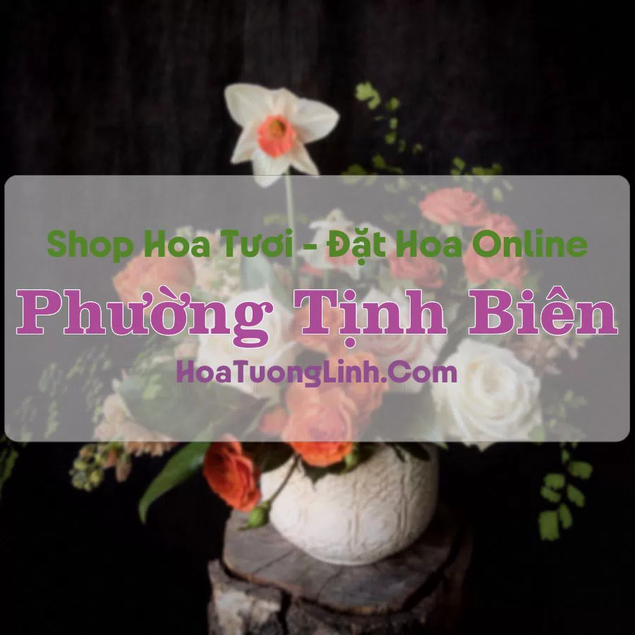 Shop Hoa Tươi Phường Tịnh Biên – An Giang